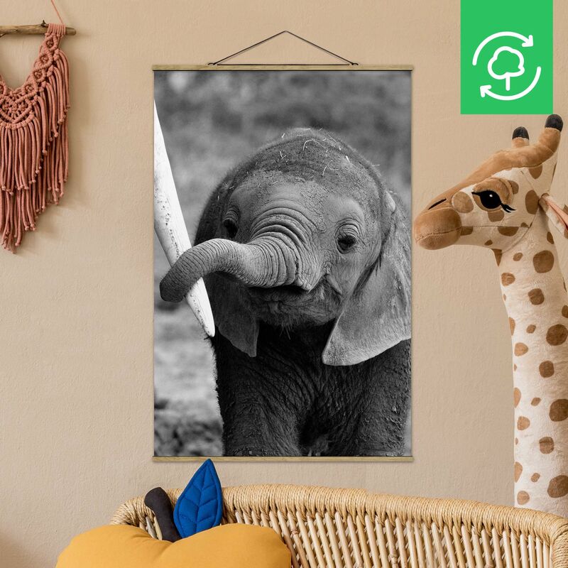 

Imagen de tela - Baby Elephant - Alto 3:2 Dimensión LxA: 52.5cm x 35cm