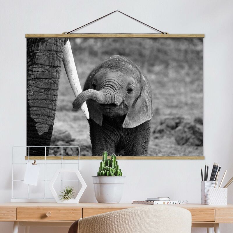 

Imagen de tela - Baby Elephant - Apaisado 2:3 Dimensión LxA: 53.5cm x 80cm