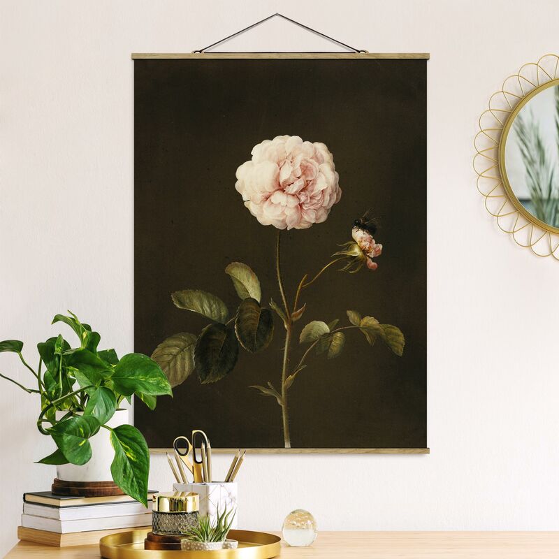 

Imagen de tela - Barbara Regina Dietzsch - Rosa Gallica With Bumblebee - Alto 4:3 Dimensión LxA: 106.5cm x 80cm