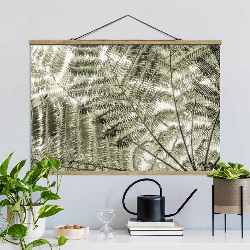 

Imagen de tela - Beneath Fern - Apaisado 2:3 Dimensión LxA: 53.5cm x 80cm