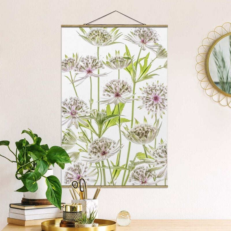 

Imagen de tela - Big Astrantia - Alto 3:2 Dimensión LxA: 150cm x 100cm