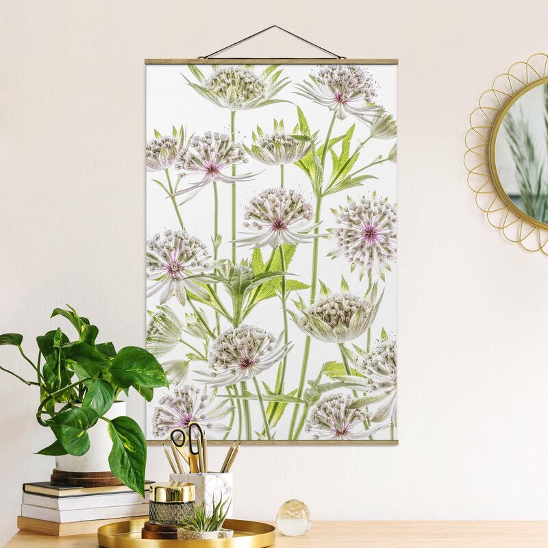 

Imagen de tela - Big Astrantia - Alto 3:2 Dimensión LxA: 75cm x 50cm