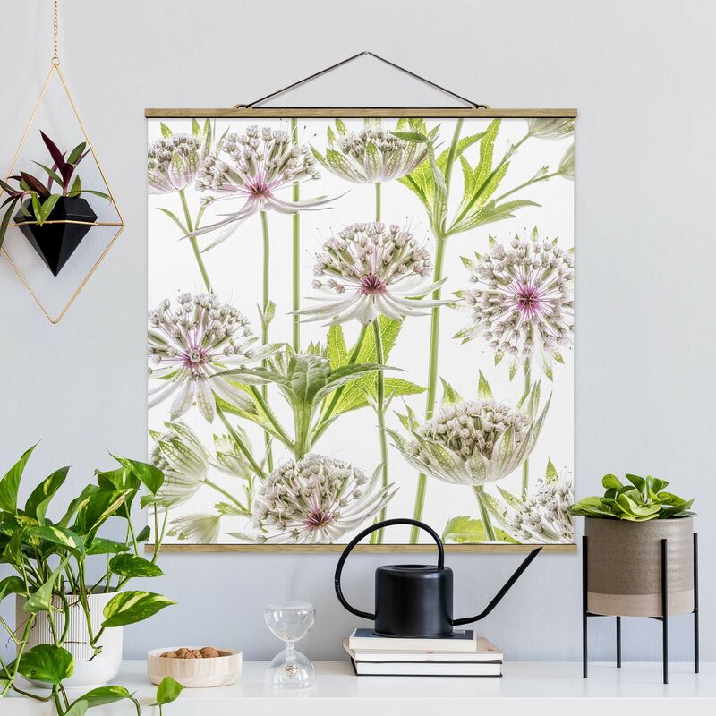 

Imagen de tela - Big Astrantia - Cuadrado 1:1 Dimensión LxA: 80cm x 80cm