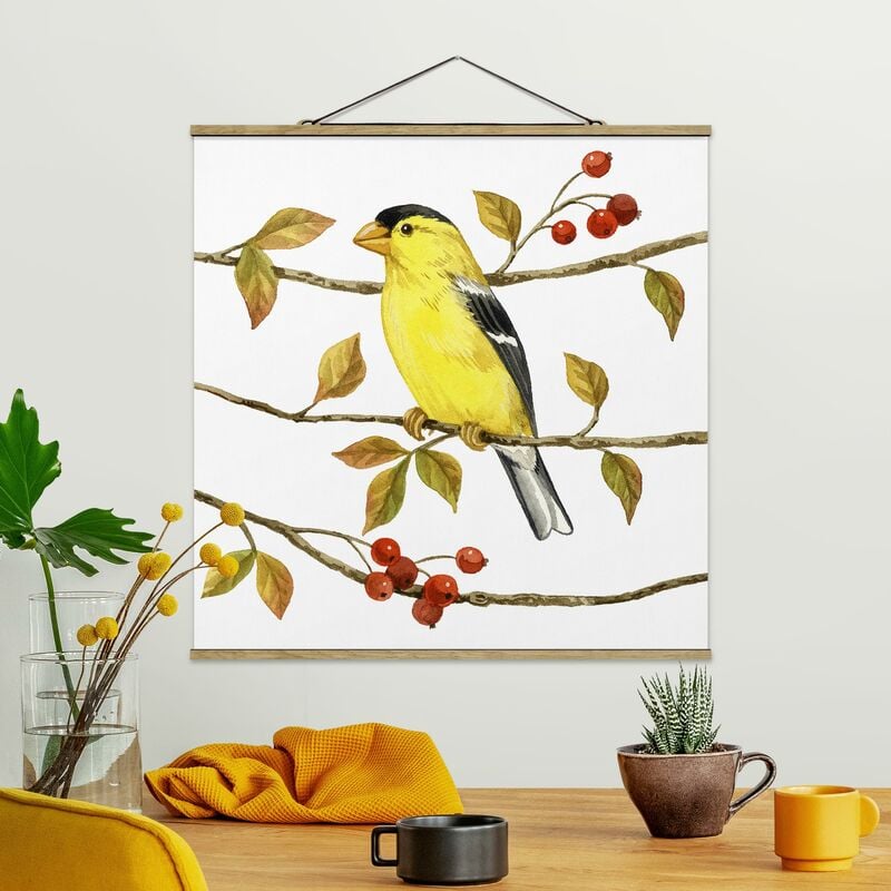 

Imagen de tela - Birds And Berries - American Goldfinch - Cuadrado 1:1 Dimensión LxA: 100cm x 100cm