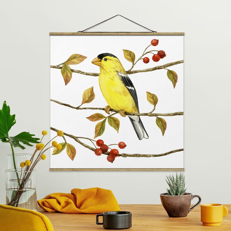 

Imagen de tela - Birds And Berries - American Goldfinch - Cuadrado 1:1 Dimensión LxA: 50cm x 50cm