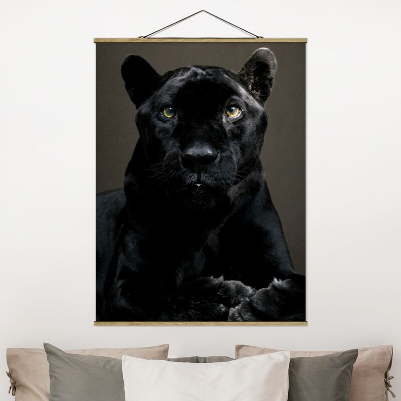 

Imagen de tela - Black Puma - Alto 4:3 Dimensión LxA: 66.4cm x 50cm