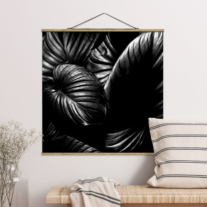 

Imagen de tela - Black And White Botany Hosta - Cuadrado 1:1 Dimensión LxA: 80cm x 80cm