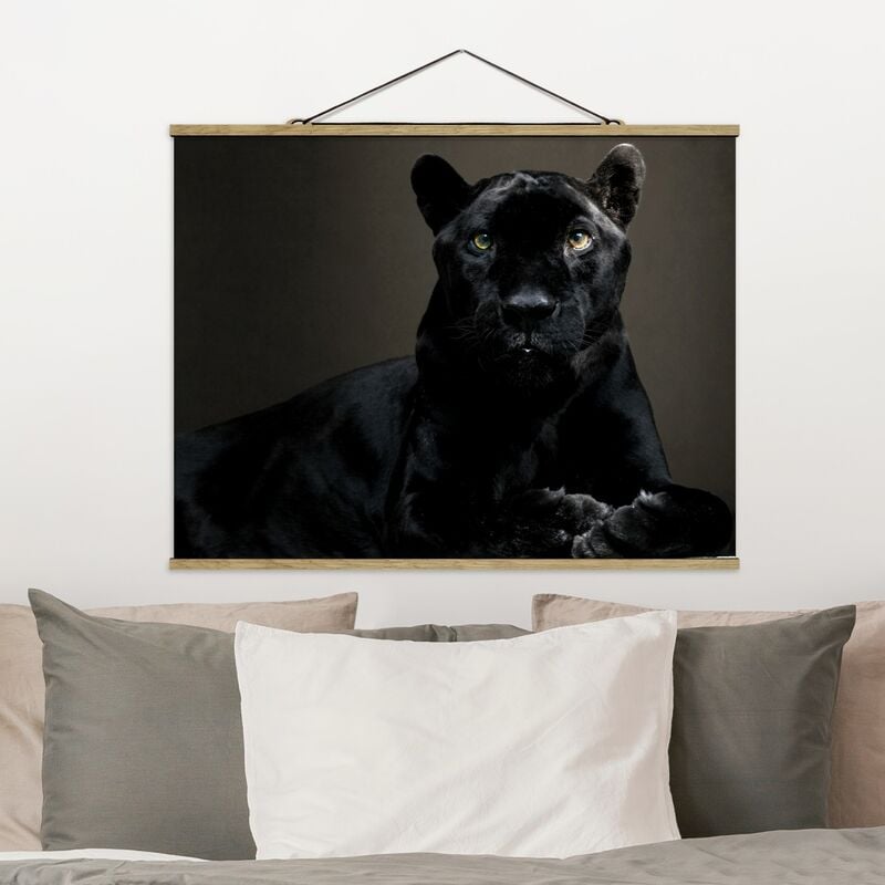 

Imagen de tela - Black Puma - Apaisado 3:4 Dimensión LxA: 37.5cm x 50cm
