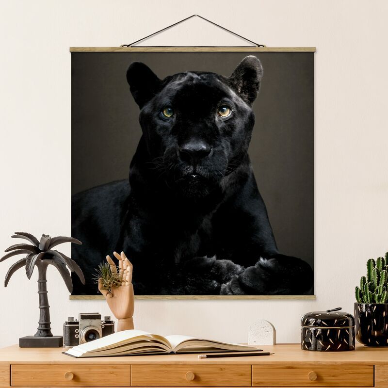 

Imagen de tela - Black Puma - Cuadrado 1:1 Dimensión LxA: 35cm x 35cm