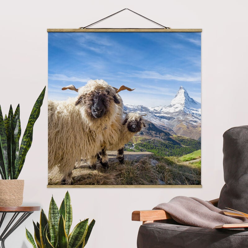 

Imagen de tela - Blacknose Sheep Of Zermatt - Cuadrado 1:1 Dimensión LxA: 35cm x 35cm