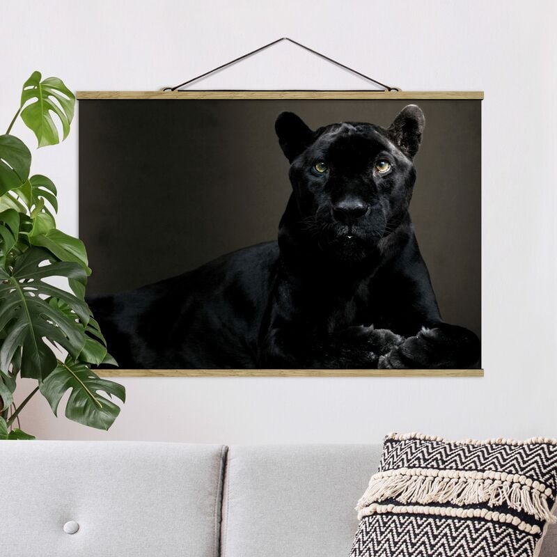 

Imagen de tela - Black Puma - Apaisado 2:3 Dimensión LxA: 66.5cm x 100cm