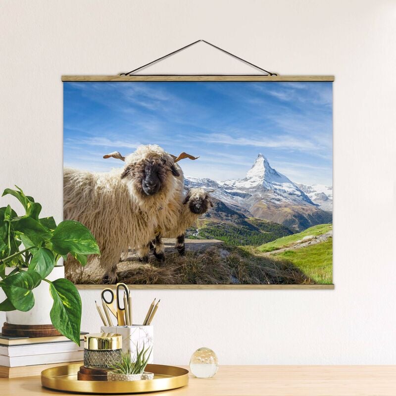 

Imagen de tela - Blacknose Sheep Of Zermatt - Apaisado 3:4 Dimensión LxA: 26cm x 35cm