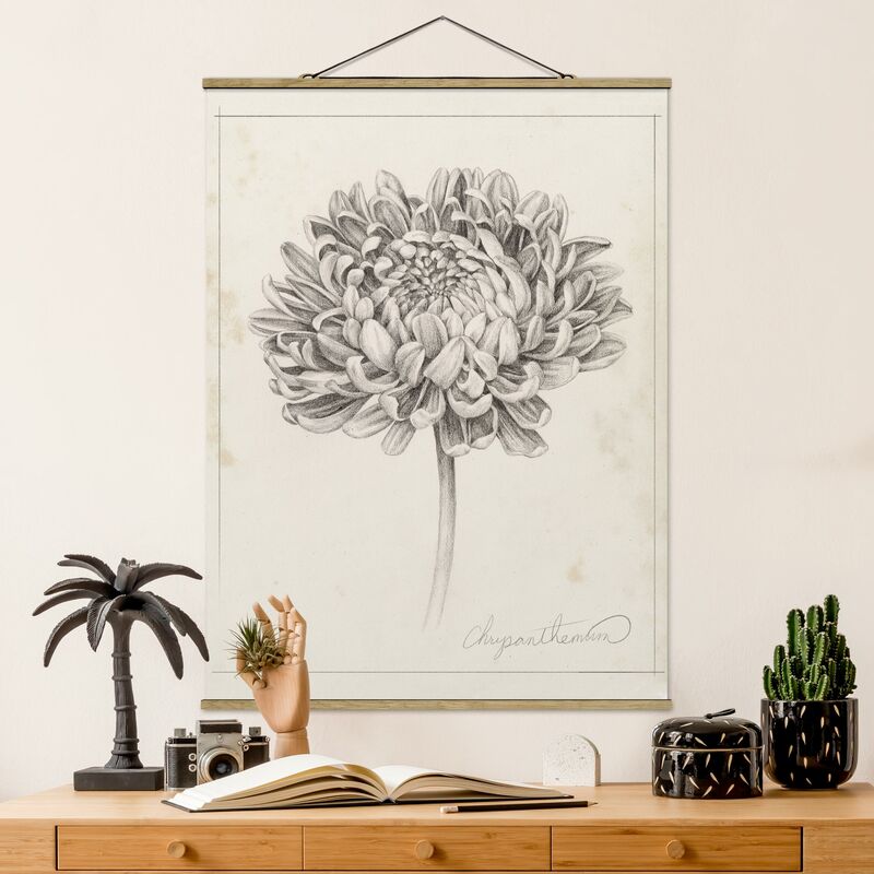 

Imagen de tela - Botanical Study Chrysanthemum II - Alto 4:3 Dimensión LxA: 46.5cm x 35cm