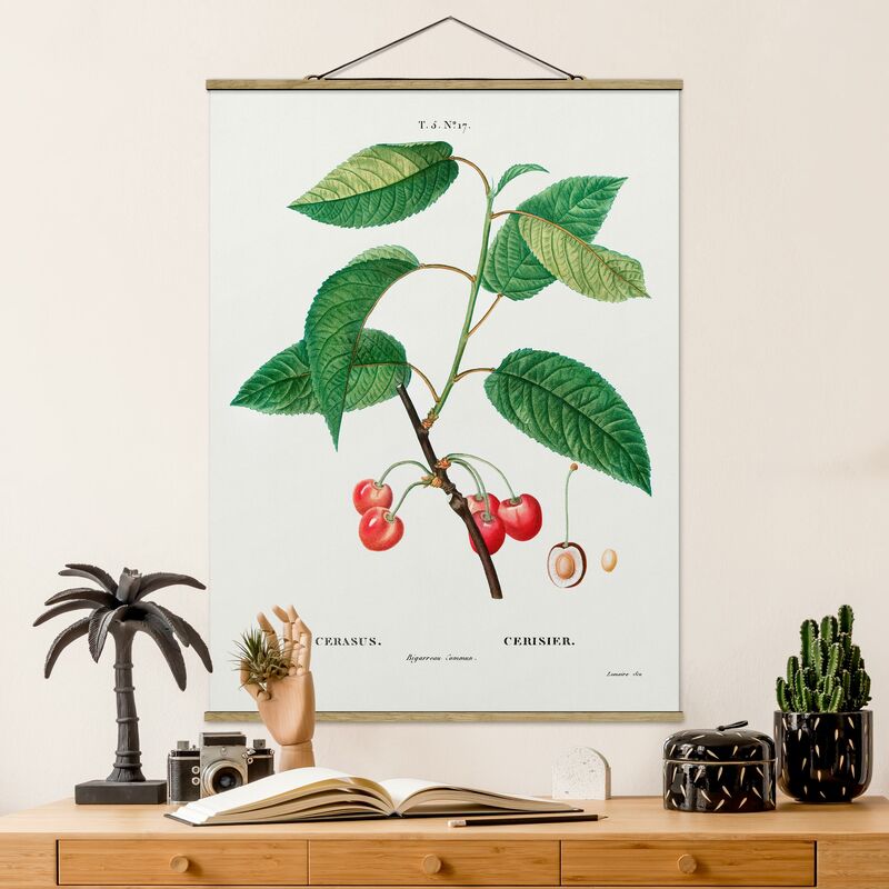 

Imagen de tela - Botany Vintage Illustration Red Cherries - Alto 4:3 Dimensión LxA: 46.5cm x 35cm