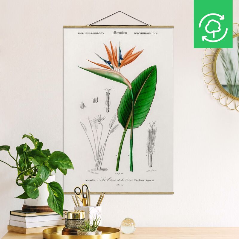 

Imagen de tela - Botany Vintage Illustration Tropical Plant III - Alto 3:2 Dimensión LxA: 75cm x 50cm
