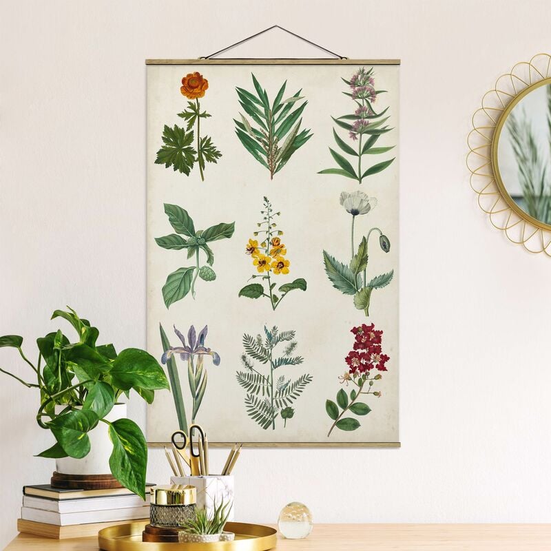 

Imagen de tela - Botanical Poster II - Alto 3:2 Dimensión LxA: 120cm x 80cm