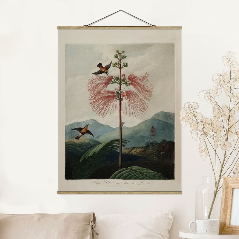 

Imagen de tela - Botany Vintage Illustration Flower And Hummingbird - Alto 4:3 Dimensión LxA: 66.4cm x 50cm