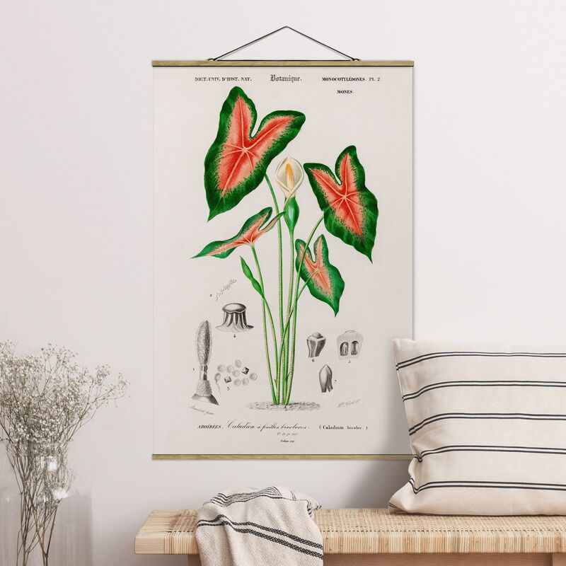 

Imagen de tela - Botany Vintage Illustration Tropical Plant I - Alto 3:2 Dimensión LxA: 75cm x 50cm
