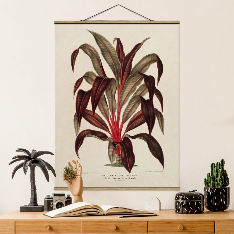 

Imagen de tela - Botany Vintage Illustration Of Dragon Tree - Alto 4:3 Dimensión LxA: 46.5cm x 35cm