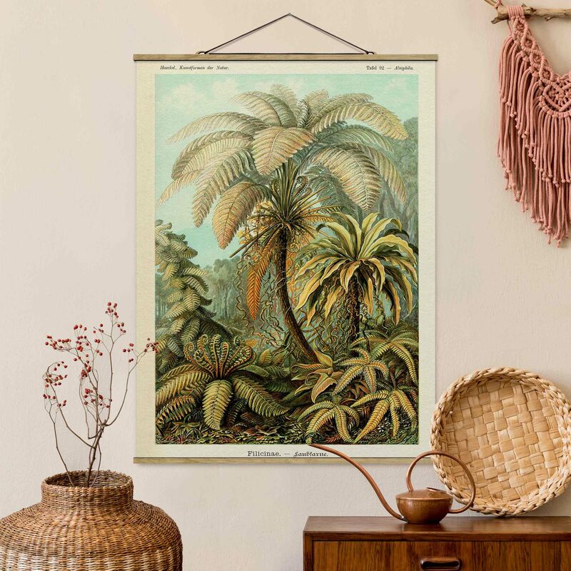 

Imagen de tela - Botany Vintage Illustration Leaves Ferns - Alto 4:3 Dimensión LxA: 66.4cm x 50cm