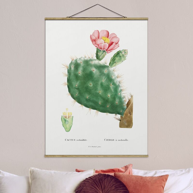 

Imagen de tela - Botany Vintage Illustration Cactus Pink Flowering - Alto 4:3 Dimensión LxA: 46.5cm x 35cm