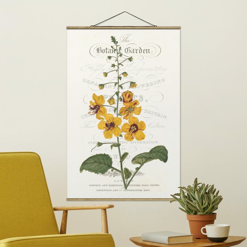 

Imagen de tela - Botanical Tableau - Mullein - Alto 3:2 Dimensión LxA: 150cm x 100cm