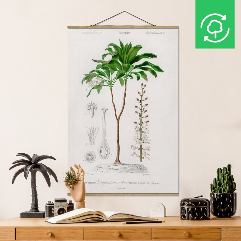 

Imagen de tela - Botany Vintage Illustration Tropical Palm - Alto 3:2 Dimensión LxA: 75cm x 50cm