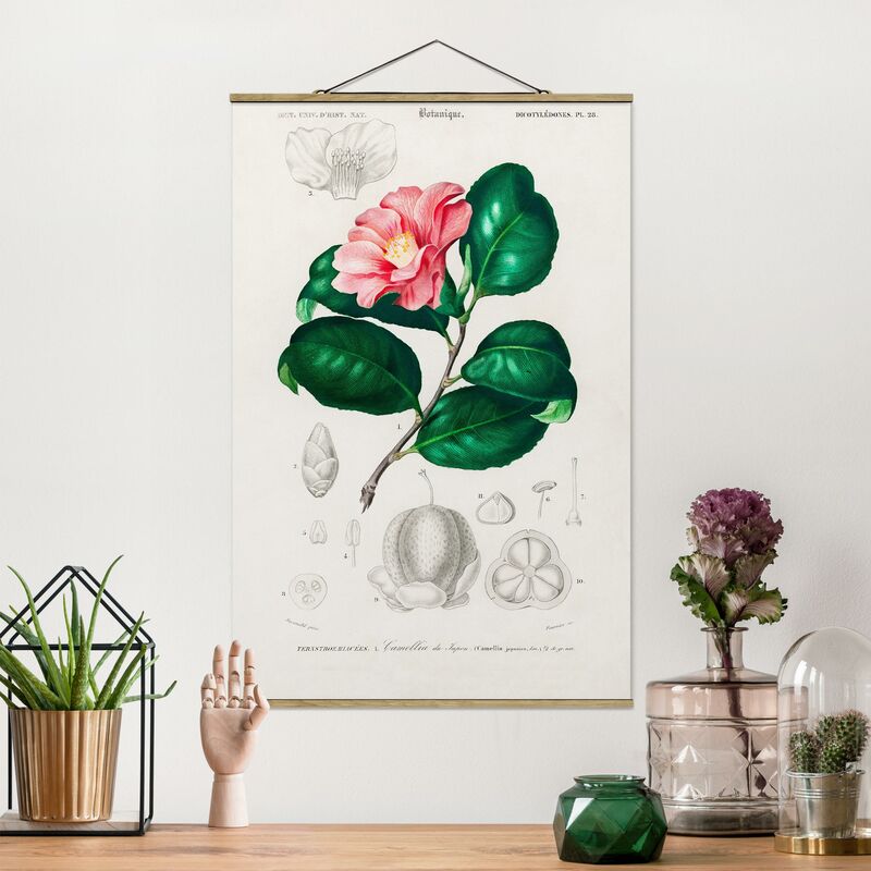 

Imagen de tela - Botany Vintage Illustration Tropical Plant II - Alto 3:2 Dimensión LxA: 75cm x 50cm