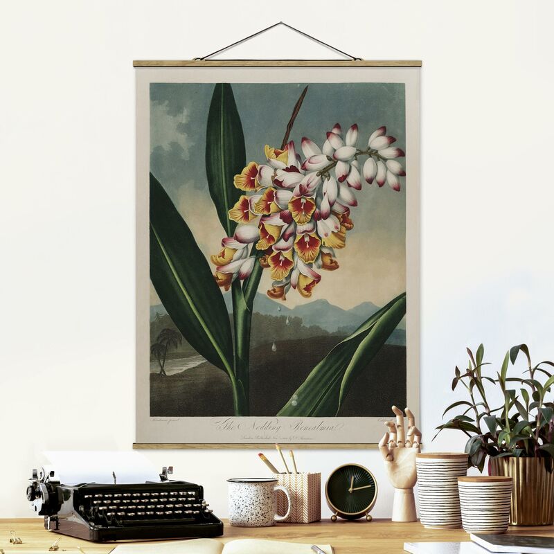 

Imagen de tela - Botany Vintage Illustration Ginger Flower - Alto 4:3 Dimensión LxA: 106.5cm x 80cm