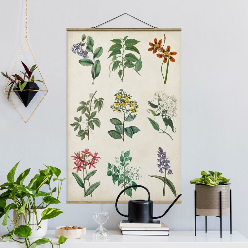 

Imagen de tela - Botanical Poster I - Alto 3:2 Dimensión LxA: 120cm x 80cm