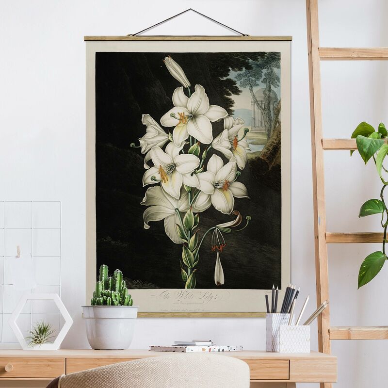 

Imagen de tela - Botany Vintage Illustration White Lily - Alto 4:3 Dimensión LxA: 133.5cm x 100cm