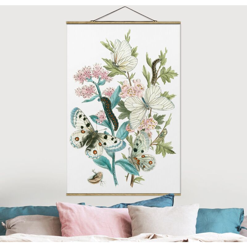 

Imagen de tela - British Butterflies I - Alto 3:2 Dimensión LxA: 150cm x 100cm