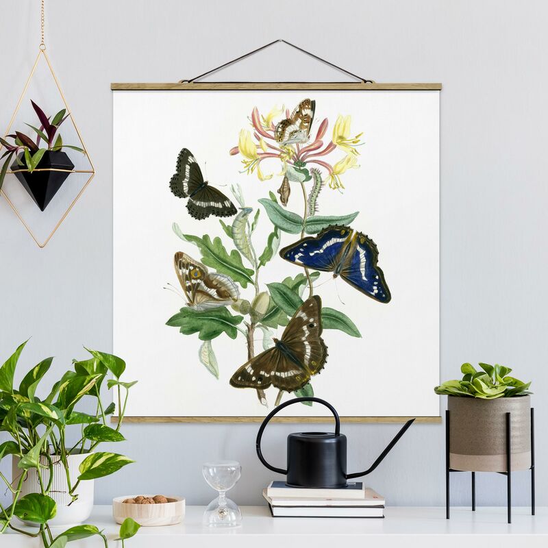 

Imagen de tela - British Butterflies IV - Cuadrado 1:1 Dimensión LxA: 50cm x 50cm