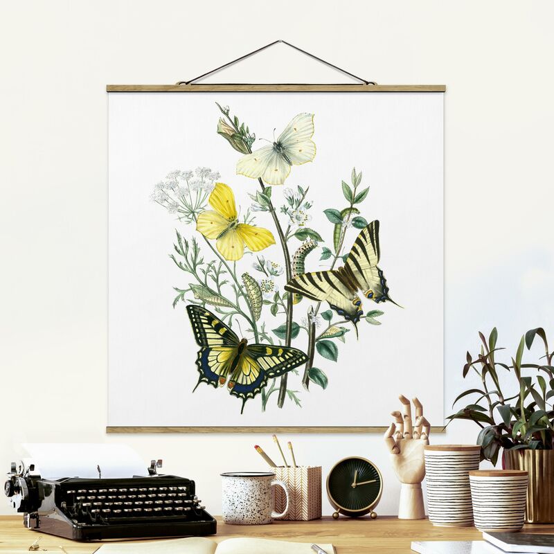 

Imagen de tela - British Butterflies III - Cuadrado 1:1 Dimensión LxA: 80cm x 80cm