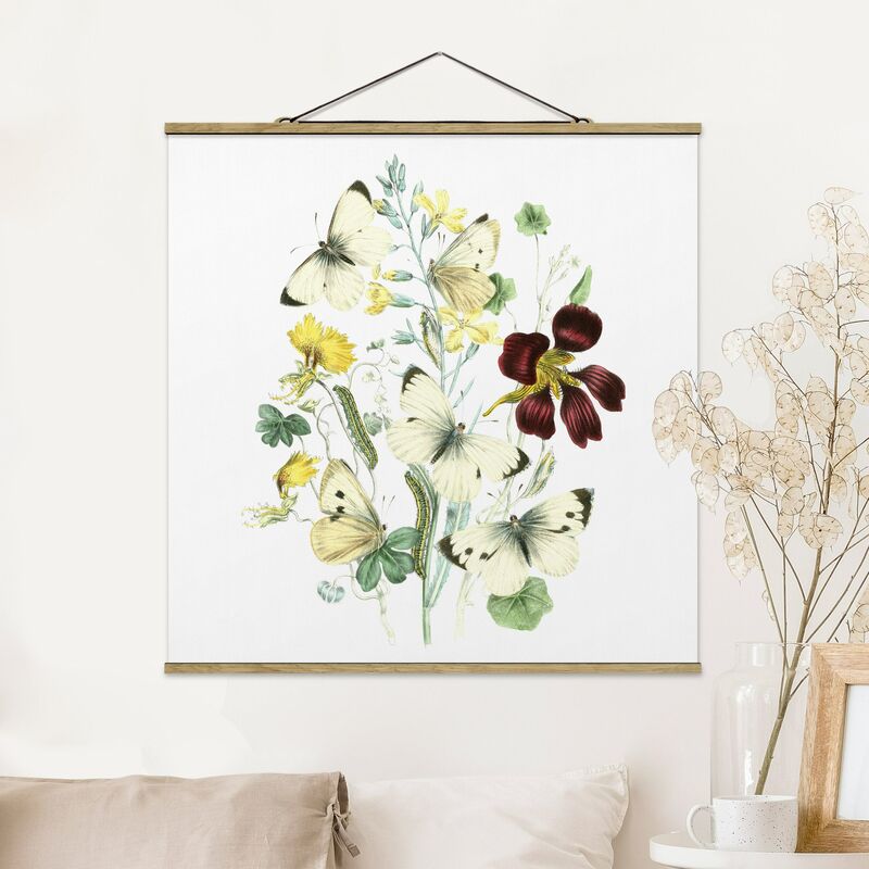 

Imagen de tela - British Butterflies II - Cuadrado 1:1 Dimensión LxA: 80cm x 80cm
