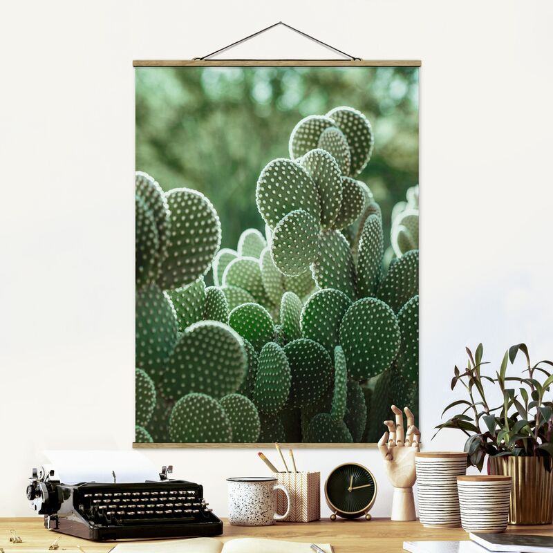 

Imagen de tela - Cacti - Alto 4:3 Dimensión LxA: 46.5cm x 35cm