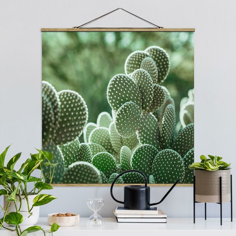 

Imagen de tela - Cacti - Cuadrado 1:1 Dimensión LxA: 100cm x 100cm