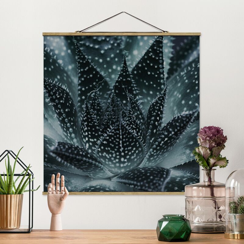 

Imagen de tela - Cactus Drizzled With Starlight At Night - Cuadrado 1:1 Dimensión LxA: 50cm x 50cm