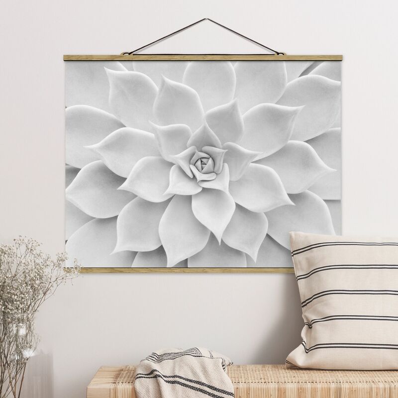 

Imagen de tela - Cactus Succulent - Apaisado 3:4 Dimensión LxA: 60cm x 80cm