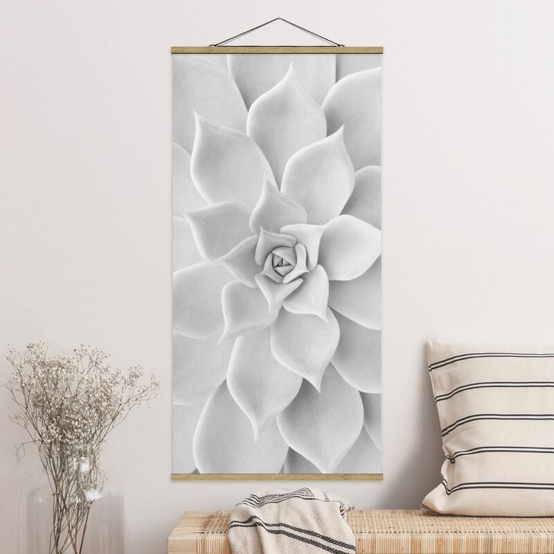 

Imagen de tela - Cactus Succulent - Alto 2:1 Dimensión LxA: 70cm x 35cm