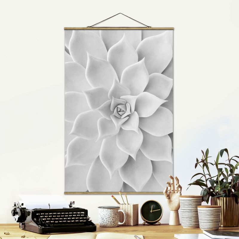 

Imagen de tela - Cactus Succulent - Alto 3:2 Dimensión LxA: 75cm x 50cm