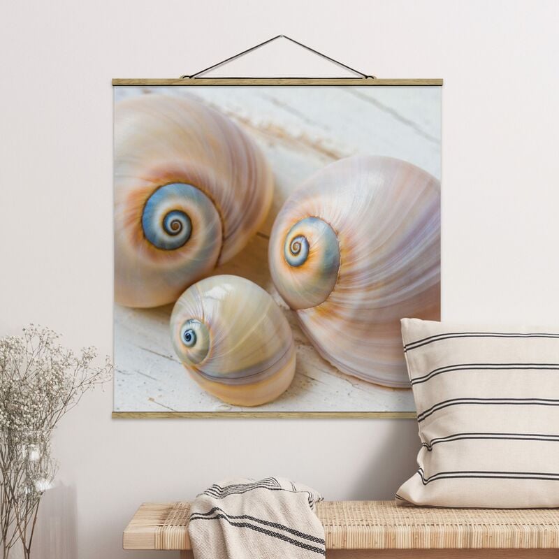 

Imagen de tela - Clam Trio On Wood - Cuadrado 1:1 Dimensión LxA: 35cm x 35cm