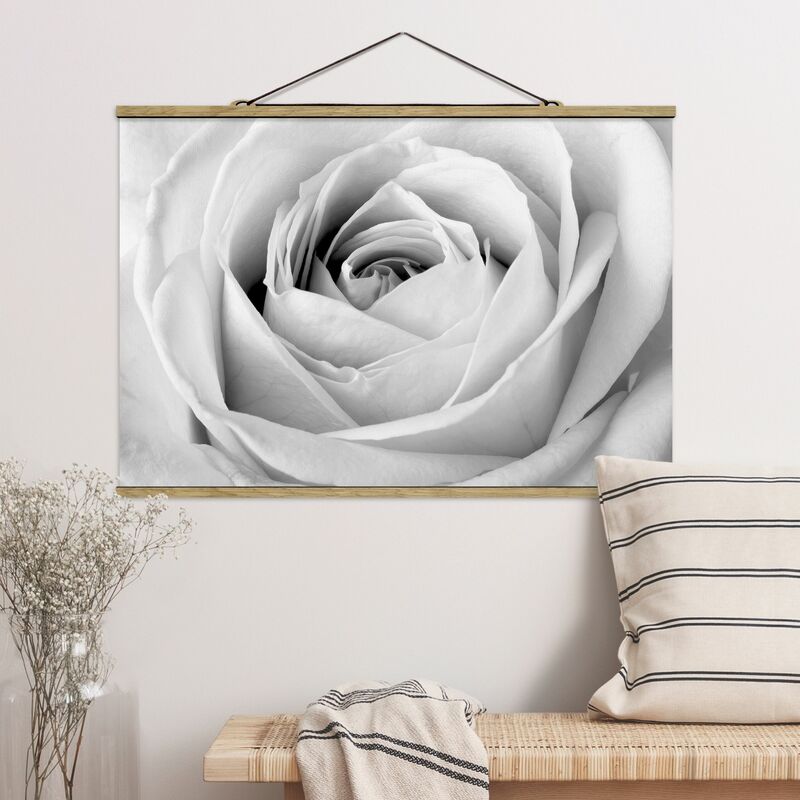 

Imagen de tela - Close Up Rose - Apaisado 2:3 Dimensión LxA: 53.5cm x 80cm
