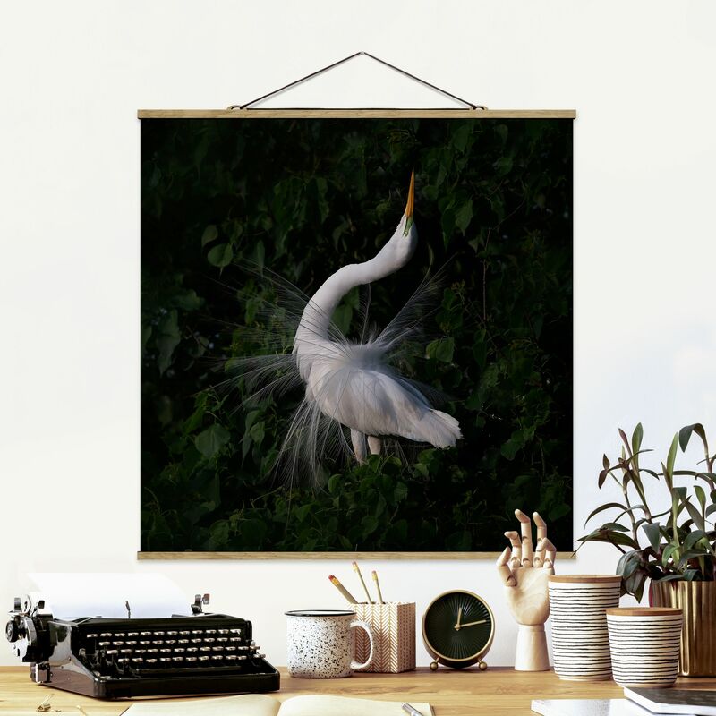 

Imagen de tela - Dancing Egrets In Front Of Black - Cuadrado 1:1 Dimensión LxA: 35cm x 35cm