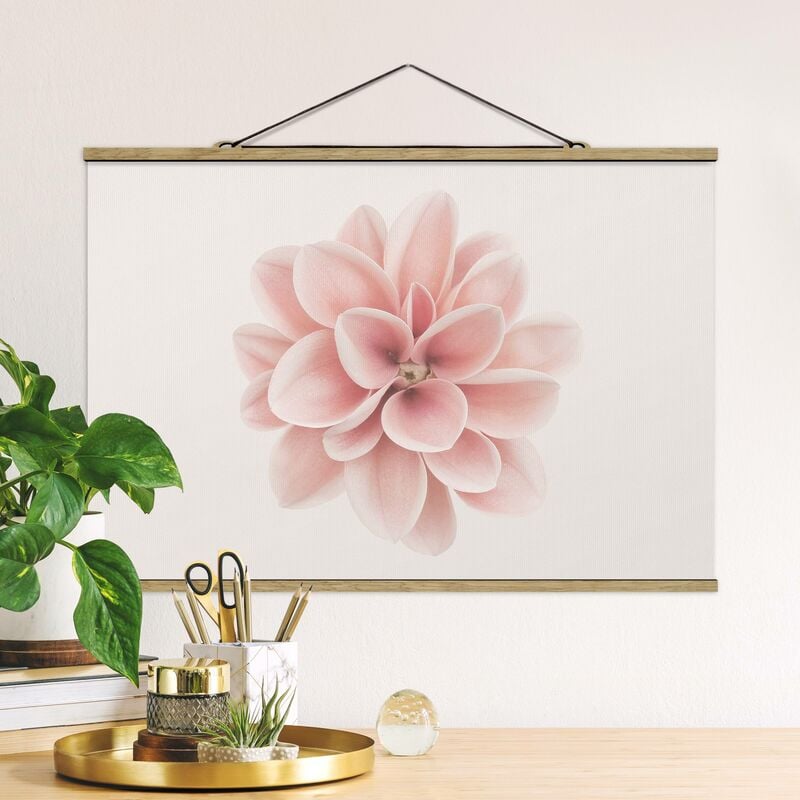 

Imagen de tela - Dahlia Pink Pastel Flower Centered - Apaisado 2:3 Dimensión LxA: 23.5cm x 35cm