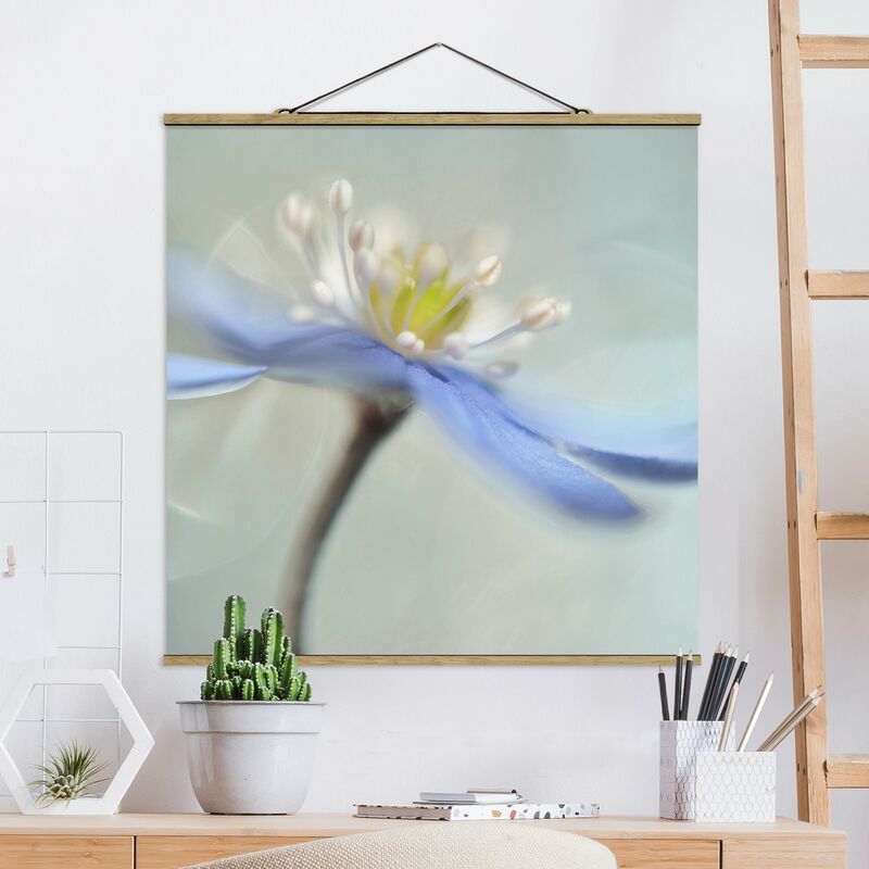 

Imagen de tela - Dancing Anemones - Cuadrado 1:1 Dimensión LxA: 80cm x 80cm