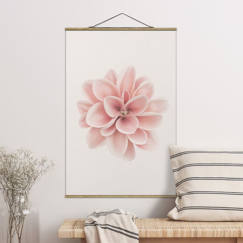 

Imagen de tela - Dahlia Pink Pastel Flower Centered - Alto 3:2 Dimensión LxA: 75cm x 50cm