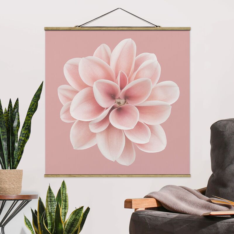 

Imagen de tela - Dahlia Pink Blush Flower Centered - Cuadrado 1:1 Dimensión LxA: 100cm x 100cm