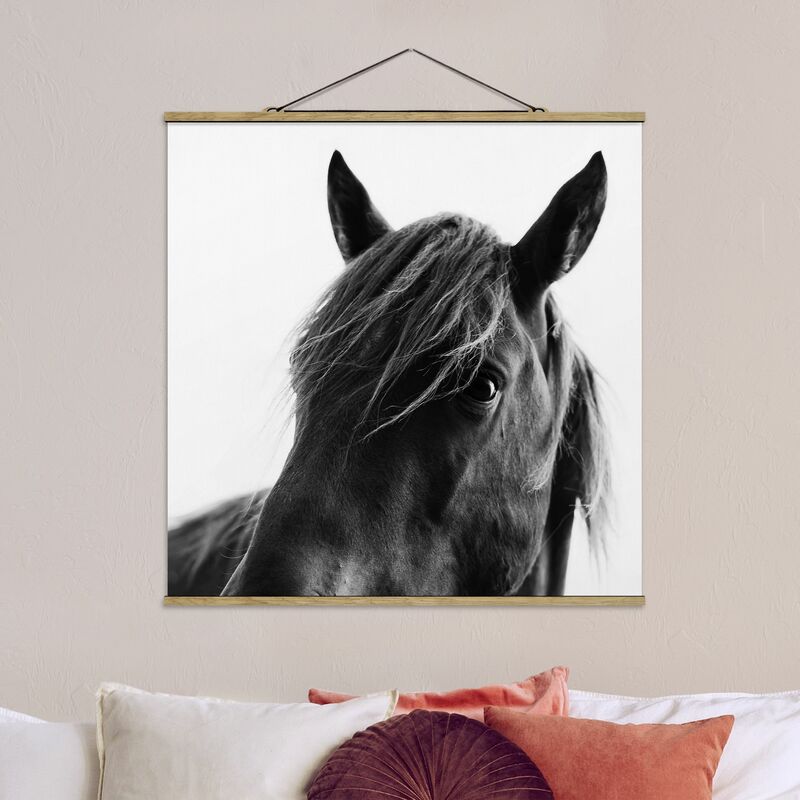 

Imagen de tela - Curious Horse - Cuadrado 1:1 Dimensión LxA: 100cm x 100cm