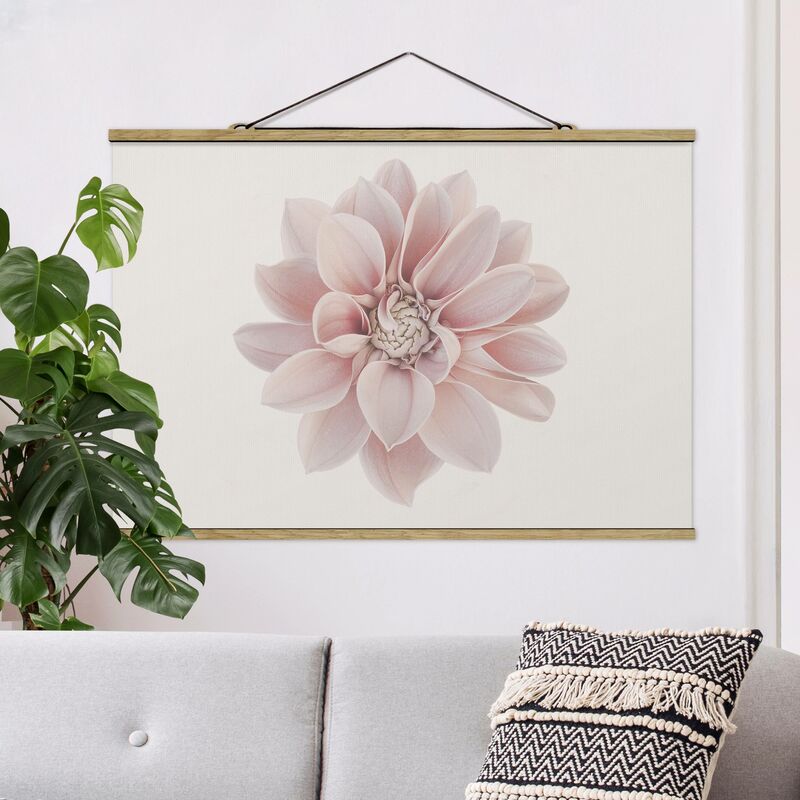 

Imagen de tela - Dahlia Flower Pastel White Pink - Apaisado 2:3 Dimensión LxA: 66.5cm x 100cm